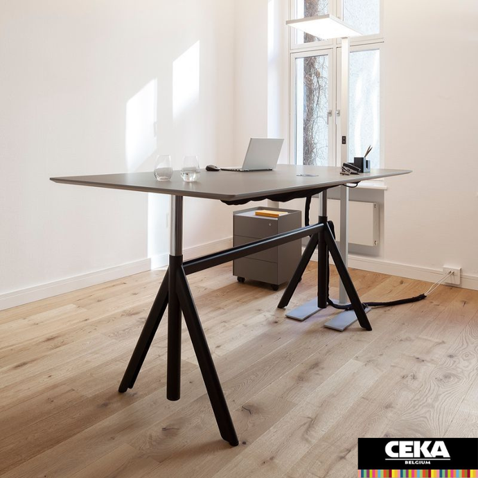 bureau assis-debout slide renz fenix noir