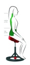Back App Smart 2.0